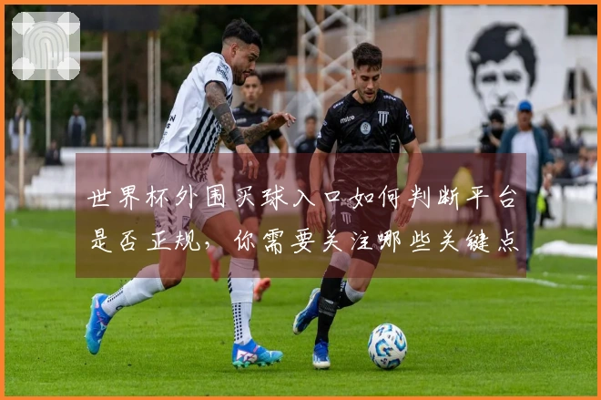 世界杯外围买球入口如何判断平台是否正规，你需要关注哪些关键点？