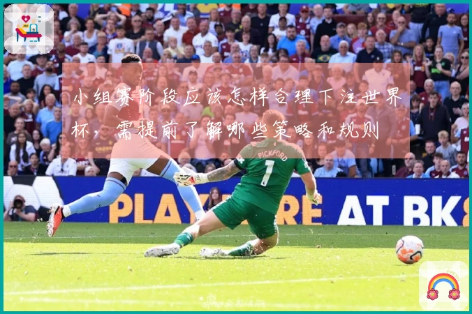 小组赛阶段应该怎样合理下注世界杯，需提前了解哪些策略和规则