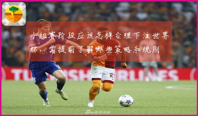 小组赛阶段应该怎样合理下注世界杯，需提前了解哪些策略和规则