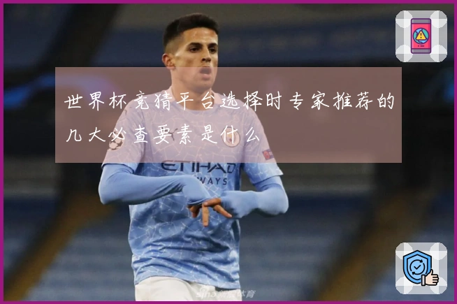 世界杯竞猜平台选择时专家推荐的几大必查要素是什么